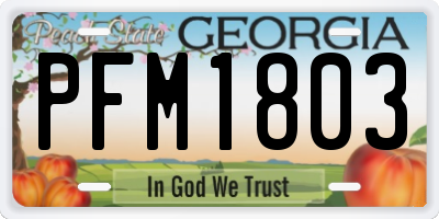 GA license plate PFM1803