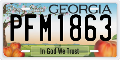 GA license plate PFM1863