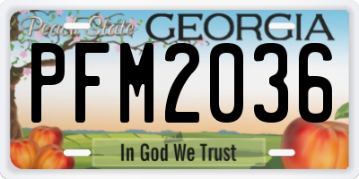 GA license plate PFM2036