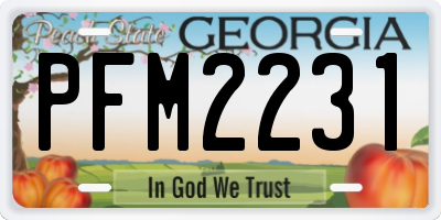 GA license plate PFM2231