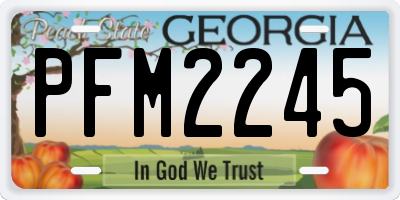 GA license plate PFM2245