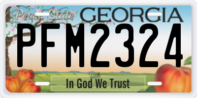 GA license plate PFM2324