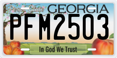 GA license plate PFM2503