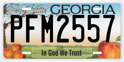 GA license plate PFM2557