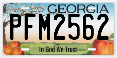 GA license plate PFM2562
