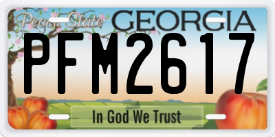 GA license plate PFM2617