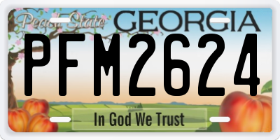 GA license plate PFM2624