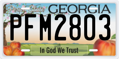 GA license plate PFM2803