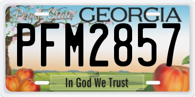 GA license plate PFM2857