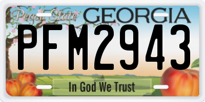 GA license plate PFM2943
