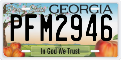 GA license plate PFM2946