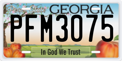 GA license plate PFM3075