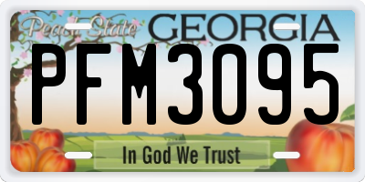 GA license plate PFM3095
