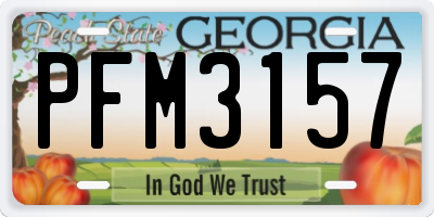 GA license plate PFM3157