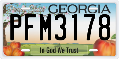 GA license plate PFM3178