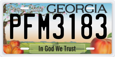 GA license plate PFM3183