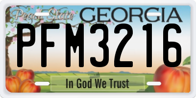 GA license plate PFM3216