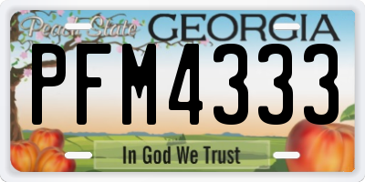 GA license plate PFM4333