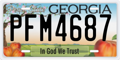 GA license plate PFM4687
