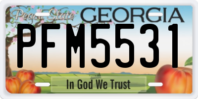 GA license plate PFM5531