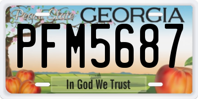 GA license plate PFM5687