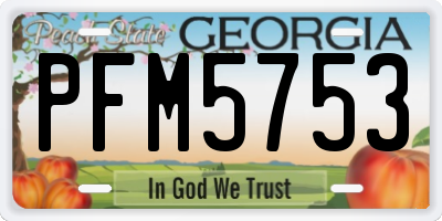 GA license plate PFM5753