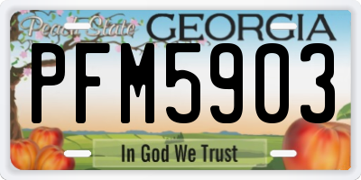 GA license plate PFM5903