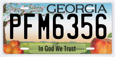 GA license plate PFM6356