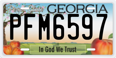 GA license plate PFM6597