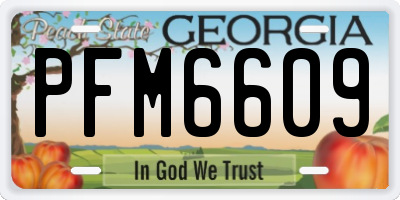 GA license plate PFM6609