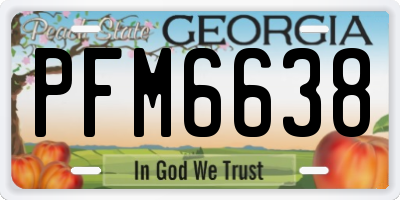 GA license plate PFM6638