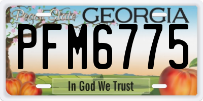 GA license plate PFM6775