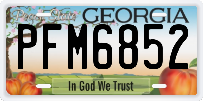 GA license plate PFM6852