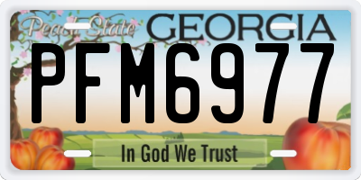 GA license plate PFM6977