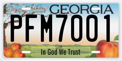 GA license plate PFM7001