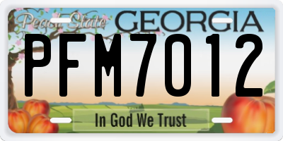 GA license plate PFM7012