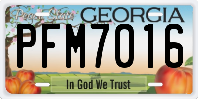 GA license plate PFM7016