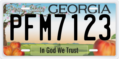 GA license plate PFM7123