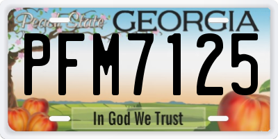 GA license plate PFM7125