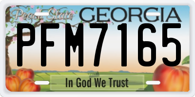 GA license plate PFM7165