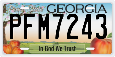 GA license plate PFM7243