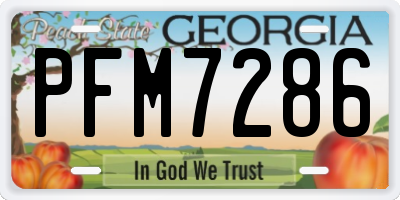GA license plate PFM7286