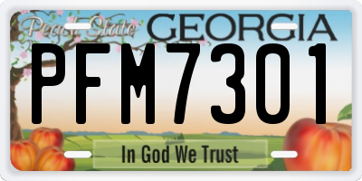 GA license plate PFM7301