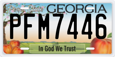 GA license plate PFM7446