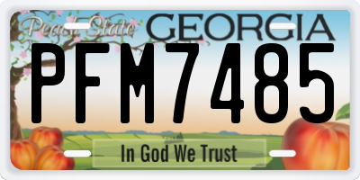 GA license plate PFM7485
