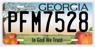 GA license plate PFM7528