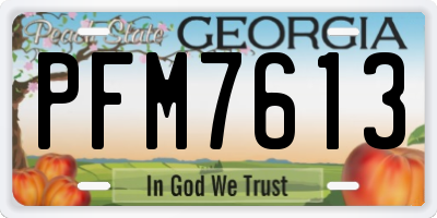 GA license plate PFM7613