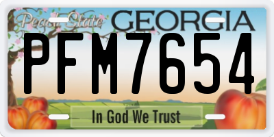 GA license plate PFM7654
