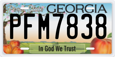 GA license plate PFM7838