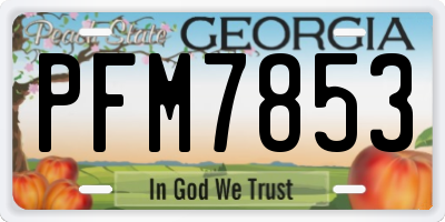 GA license plate PFM7853